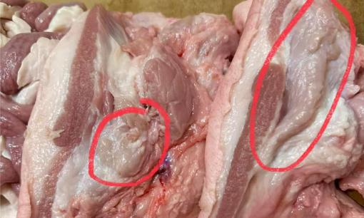 Ăn phải hạch hay tật ở thịt lợn có sao không?