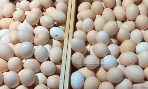 Đừng mua 4 loại trứng này nữa, hôm nay tôi mới biết nếu ở nhà có thì không nên ăn
