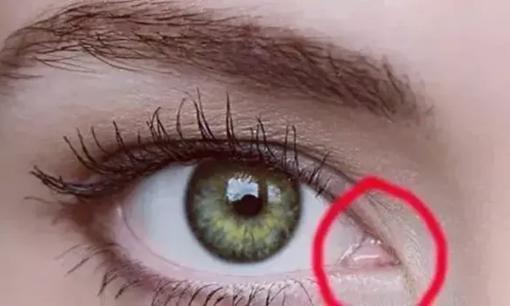 6 bộ phận của nhân loại có thể biến mất trong tương lai, mỗi bộ phận đều không có ích gì với nhân loại