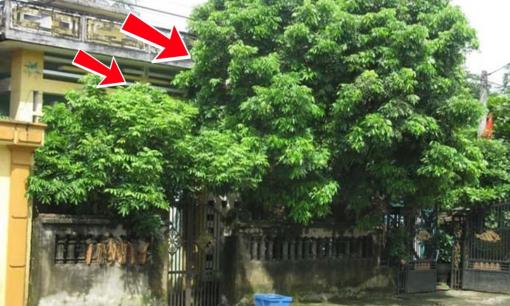 Kinh nghiệm người xưa truyền lại: Dọn dẹp nhà cửa cuối năm thế này để xua đuổi thần nghèo, rước đón tài lộc, vận may ập đến