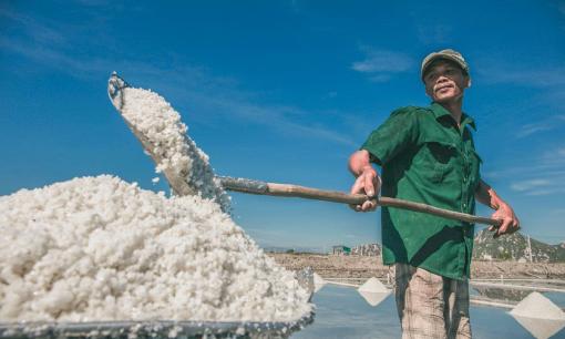 Tỉnh nào là thủ phủ muối của Việt Nam?