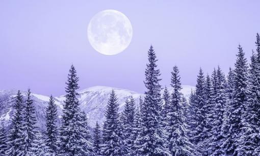 Vì sao Đông chí 2024 đặc biệt nhất trong nhiều năm trở lại đây, ngày này cần kiêng kỵ gì?