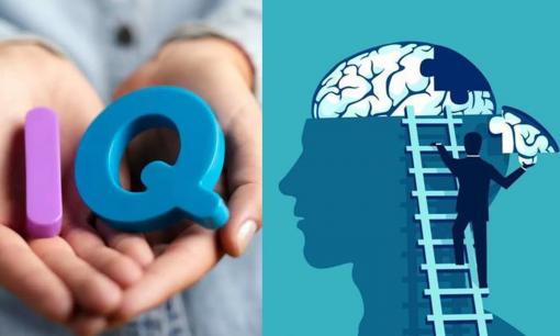 Nếu bạn là người thích làm 3 điều này thì có nghĩa là chiều sâu tư duy của bạn cao hơn người thường