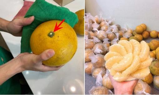 Mua bưởi Diễn ăn Tết, cứ bảo quản theo cách này để mấy tháng vẫn tươi nguyên, ngọt lịm