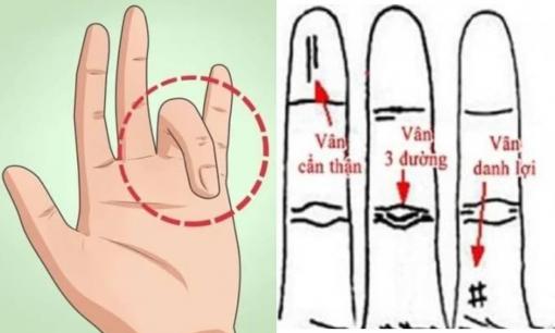 5 dấu hiệu 'trời ban' trên ngón áp út báo hiệu cuộc đời thuận buồm xuôi gió, tiền vào như nước