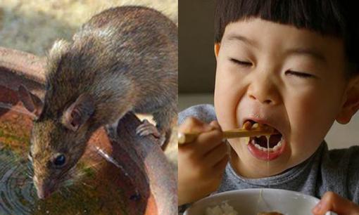 Trong số anh chị em, người mạnh nhất là người hiểu được 'luật chuột đói'
