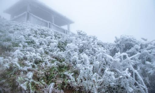 Nơi lạnh nhất Việt Nam: Không phải Fansipan, ở đây mùa đông thường xuyên chìm trong giá rét, nhiệt độ có lúc xuống -5 độ C