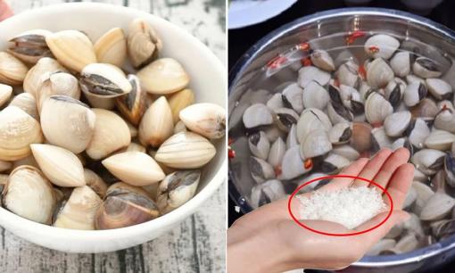 Đừng chỉ ngâm ngao với nước lã, mẹo khiến ngao 'nhả cát siêu tốc', giúp ngao sạch và tươi ngon hơn