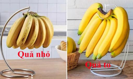 Chọn chuối chuẩn nông dân lâu năm, quả to hay quả nhỏ mới 'đúng  bài'? Bật mí bí quyết chọn chuối 'ngon hết sảy'