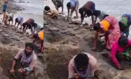 Hy hữu: Cả làng đổ xô đi nhặt vàng bạc, trang sức trôi dạt vào bờ biển 