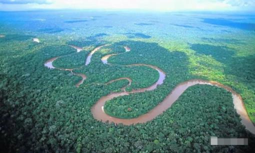 Các con sông trên khắp thế giới đều có cầu, nhưng tại sao không có cây cầu nào dám bắc qua sông Amazon? 