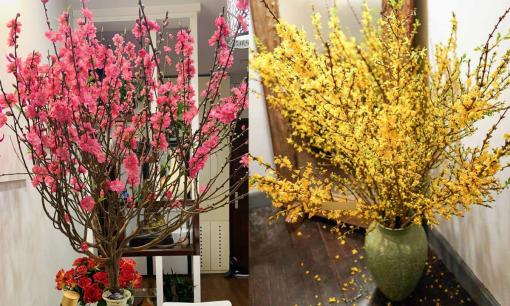 Những loại cây nên chưng trong nhà dịp Tết, hút tài lộc cả năm! Tết này nhất định phải có nhé! 