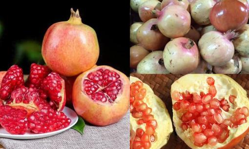 Lựu có nhiều loại, nhưng đâu mới là loại ngon, bạn không nên bỏ qua?