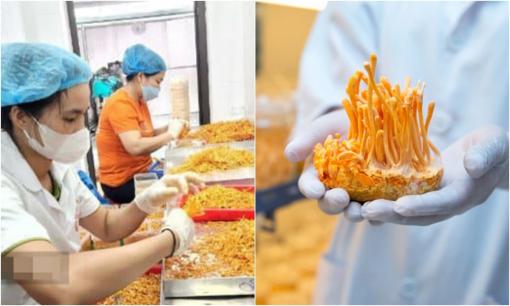 Loại cây 'quý như vàng' được nuôi cấy cẩn thận, người đàn ông nhẹ nhàng thu về 10 tỷ đồng/năm