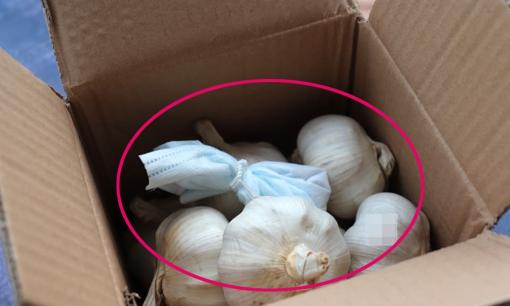 Bảo quản tỏi không ngờ lại đơn giản như vậy, mùa đông không lo bị thối rữa hay mọc mầm