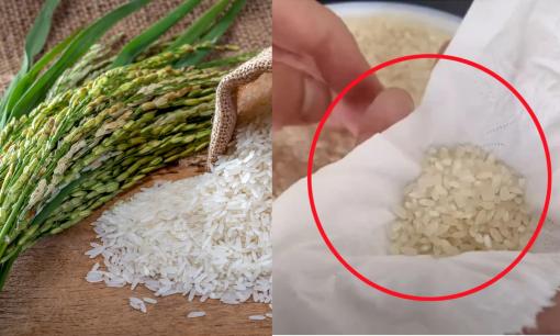 Người khôn ngoan đi mua gạo luôn mang theo tờ giấy ăn. Mục đích để làm gì?