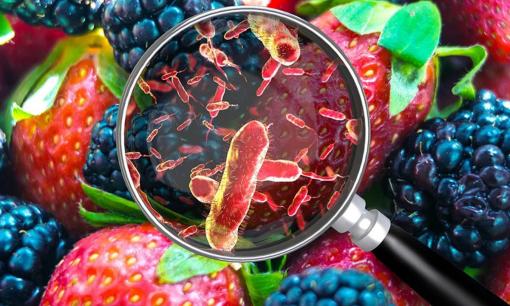 Loại thực phẩm này có thể đẩy nhanh quá trình suy thoái trí não, nếu không muốn già đi và mắc chứng mất trí nhớ, bạn nên 'ngậm miệng' lại