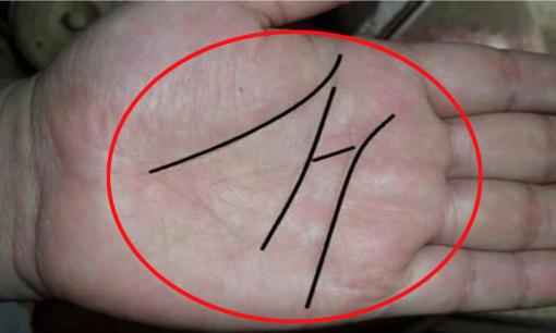 3 nét đặc biệt trên bàn tay tiết lộ số phận giàu có trọn đời, nếu bạn có 1 trong số đó thật đáng chúc mừng