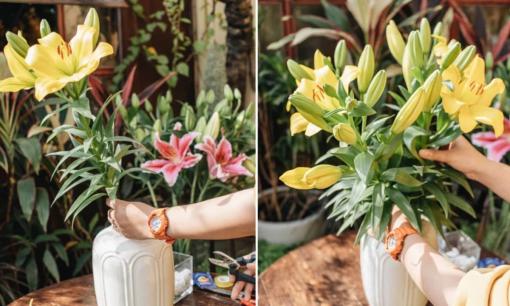 Mẹo cắm hoa Tết tươi lâu: Thêm vài giọt này vào nước, bày cả tuần hoa vẫn rực rỡ