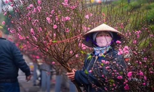 Tết Âm lịch năm nay có rơi vào đợt rét đậm, rét hại? Thời tiết cụ thể dịp Tết Nguyên đán Ất Tỵ thế nào?