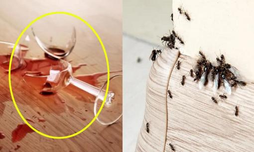 6 dấu hiệu cảnh báo cực xấu trước khi bạn gặp mất mát tài chính, hãy hết sức cẩn thận để tránh rủi ro