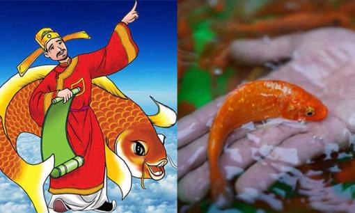 Tết ông Công ông Táo 2025: Thả cá chép thế nào cho năm mới thuận lợi, nhiều may mắn?