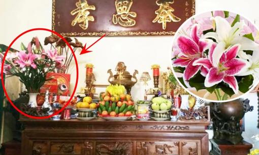 7 loại hoa đẹp nhưng mang ý nghĩa 'xui xẻo, ly tán', đừng đem chưng trên bàn thờ ngày Tết, nhiều người vẫn vô tư chưng