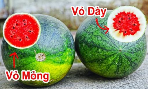 Mẹo chọn dưa hấu, cà chua, táo và những loại quả ngon khác dịp Tết  thơm ngon và chuẩn sạch