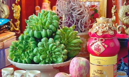 Chọn Phật thủ dâng lên bàn thờ ngày Tết nhớ quy tắc này để rước lộc may mắn cả năm