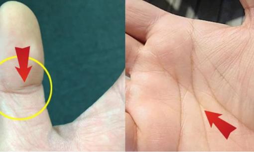 Nam hay nữ, sở hữu 4 đặc điểm này trong lòng bàn tay, xin chúc mừng, bạn đích thị là 'số hưởng', không tỷ phú cũng đại gia