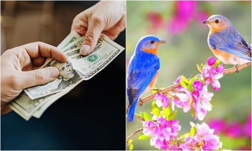 Sau Lập Xuân: 3 việc 'đại kỵ' cần tránh để tiền tài vững bền suốt năm, đó là những việc gì?