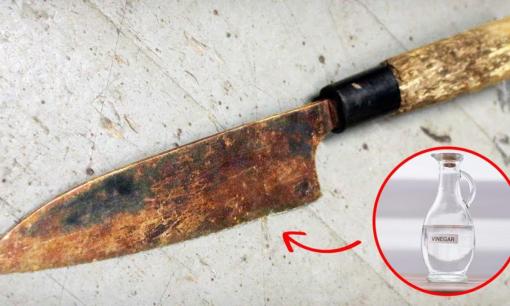 Dao cùn, han rỉ đến mấy cũng sáng bóng và sắc lẹm như mới chỉ với một mẹo đơn giản