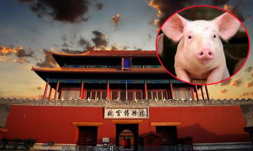 Bí ẩn 60 tấn huyết lợn Tử Cấm Thành dùng để 'trừ tà' mỗi năm, sự thật được hé lộ khiến cả thế giới sững sờ