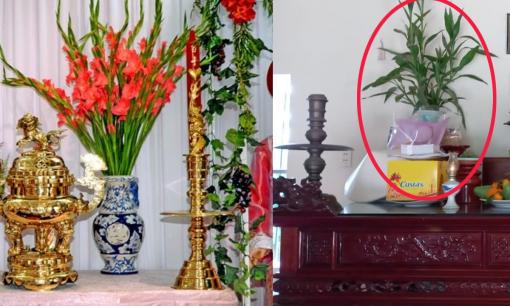 Thay hoa cúc bằng loại hoa 'thần tài' này trên bàn thờ: Đảm bảo gia chủ may mắn, rước lộc vào nhà, giàu sang phú quý
