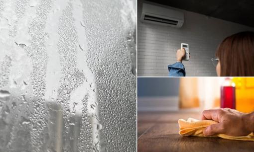 Miền Bắc sắp nồm ẩm và kéo dài đến tháng 4, khắc phục ngay theo cách này, rất đơn giản mà hiệu quả