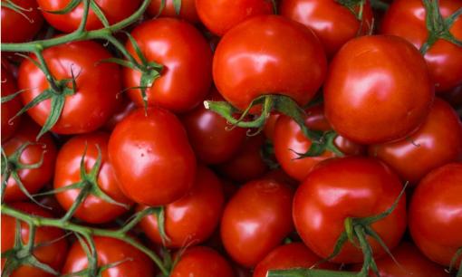 Làm thế nào để bảo quản cà chua lâu hơn? Bí quyết giữ cà chua tươi ngon