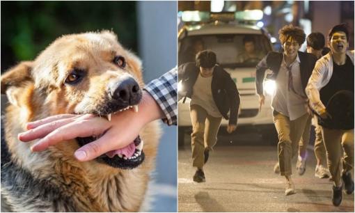 4 giấc mơ 'cảnh báo' kẻ xấu đang cận kề, bạn nên cẩn thận kẻo gặp tai ương trong thời gian tới