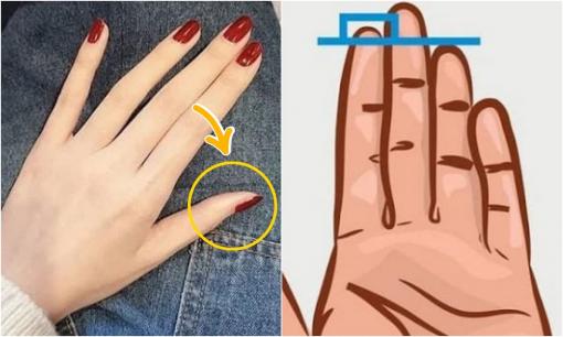 4 đặc điểm trên bàn tay phụ nữ, chứng tỏ họ có mệnh phu nhân, giàu sang phú quý, cả đời không cần lo nghĩ