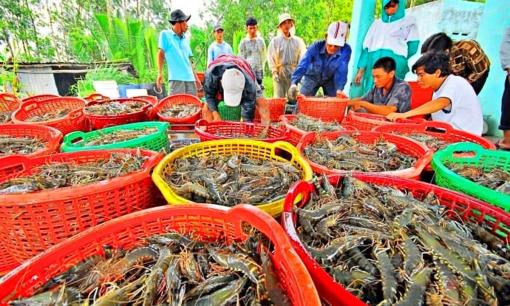 Tỉnh nào đứng đầu cả nước về xuất khẩu thủy sản?