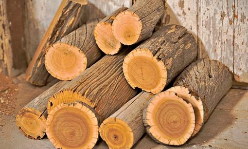 Loại gỗ đắt giá nhất nhì thế giới: Lõi chảy ra 'vàng lỏng', được bán với giá 160 triệu đồng/kg