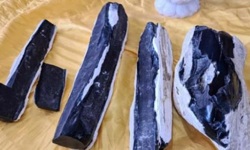 Loại gỗ quý như 'kim cương rừng' có ở Việt Nam, khách từng trả gần 250 tỷ đồng/kg chủ vẫn không bán