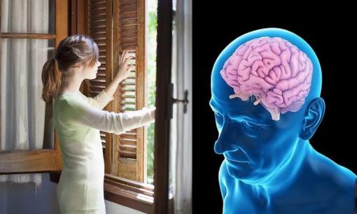 Những người không thích mở cửa sổ có nhiều khả năng bị teo não? 5 thói quen phổ biến này thực sự rất có hại cho não, nhưng bạn lại làm chúng hàng ngày