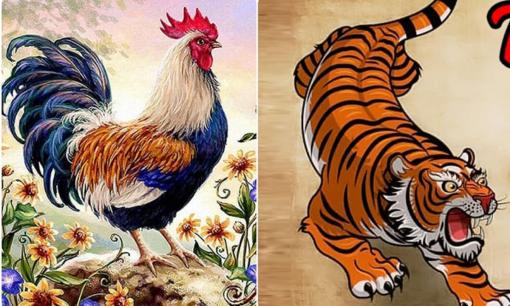 Các cụ bảo tránh: 'Không yêu tuổi Tí, không lấy tuổi Dần, không gần tuổi Dậu', tại sao?