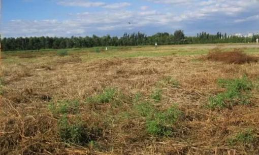 Từ nay, có 7 trường hợp đất nông nghiệp bỏ hoang sẽ không bị thu hồi, ai cũng nên biết kẻo bị thiệt