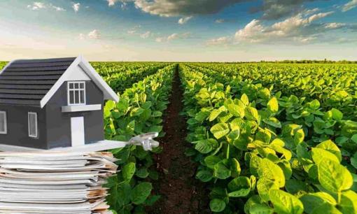 Năm 2025, 4 khoản phí người dân cần phải đóng khi chuyển đổi đất vườn lên đất thổ cư