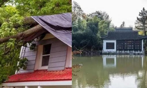 Vì sao người xưa kiêng kỵ 'cây lớn trước nhà, ao sau nhà, ruộng lúa trước cửa'?