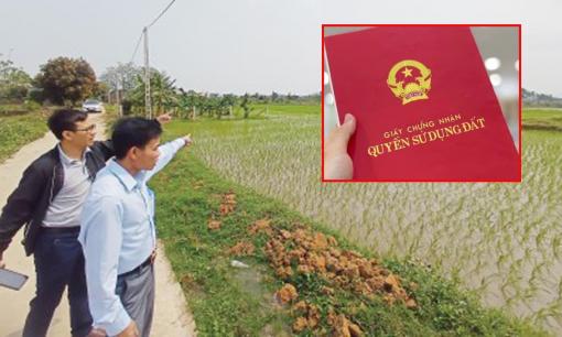 Mua đất nông nghiệp được bên bán hứa lên thổ cư, liệu có nên xuống tiền trong thời điểm này không?