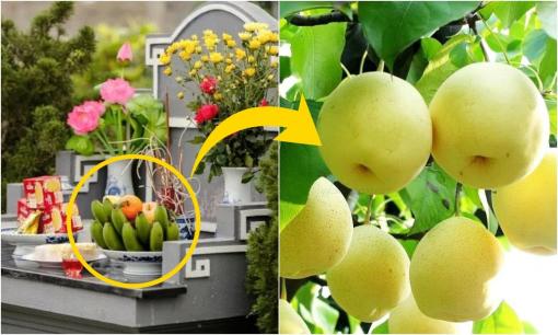 Các cụ khuyên: 'Tứ quả đại kỵ cúng Thanh Minh, cẩn thận nhà tan cửa nát', đó là 4 quả nào?