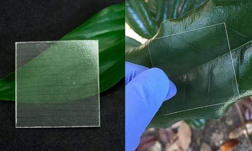 Loại gỗ trong suốt thay thế kính trong tương lai, cách nhiệt tốt hơn kính gấp 5 lần