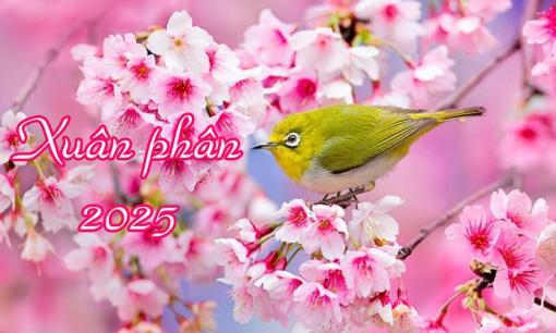 Tiết Xuân Phân năm 2025 bắt đầu từ ngày 20/3, nên làm gì để cầu tài lộc, phúc đức?